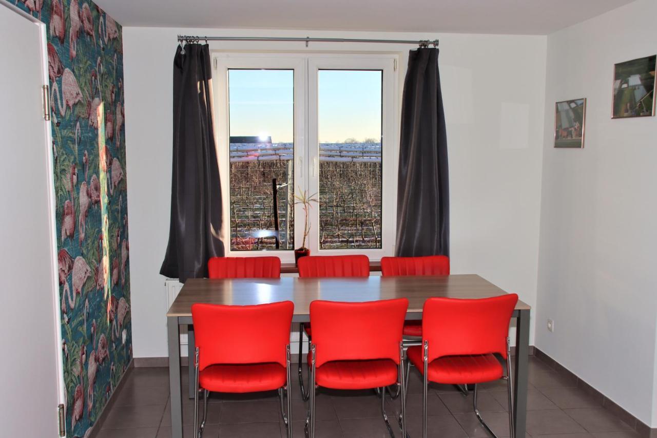 Appartement Juwel Fruithof à Zepperen Extérieur photo